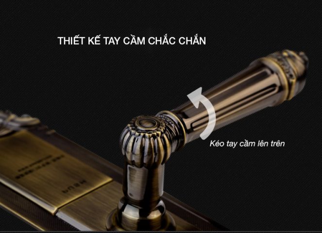 Khóa vân tay Tân Cổ Điển KAADAS 6001-8